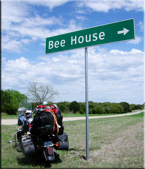 Bee House