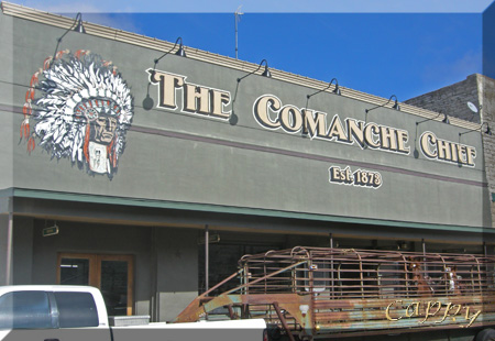 The Comanche Chief