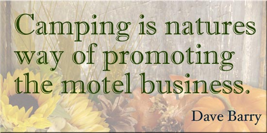 Camping is natures way of promoting the motel business - Dave Barry